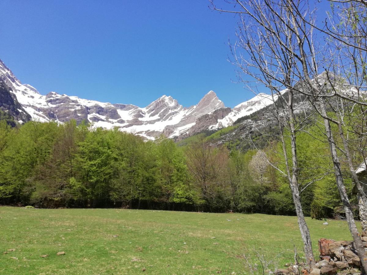 Apartamento El Fenal De Turmo Casa Rural "El Capricho De Nieves" Laspuna ภายนอก รูปภาพ
